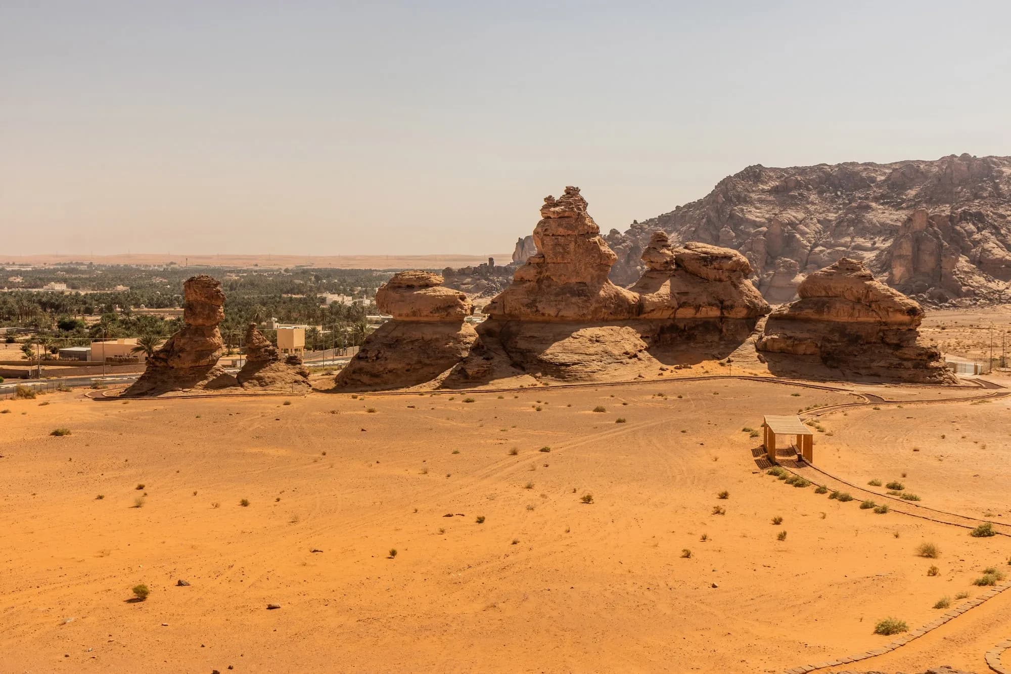 Hail in 3 Days: Palaces, Jubbah & Al-Didhan Reserve