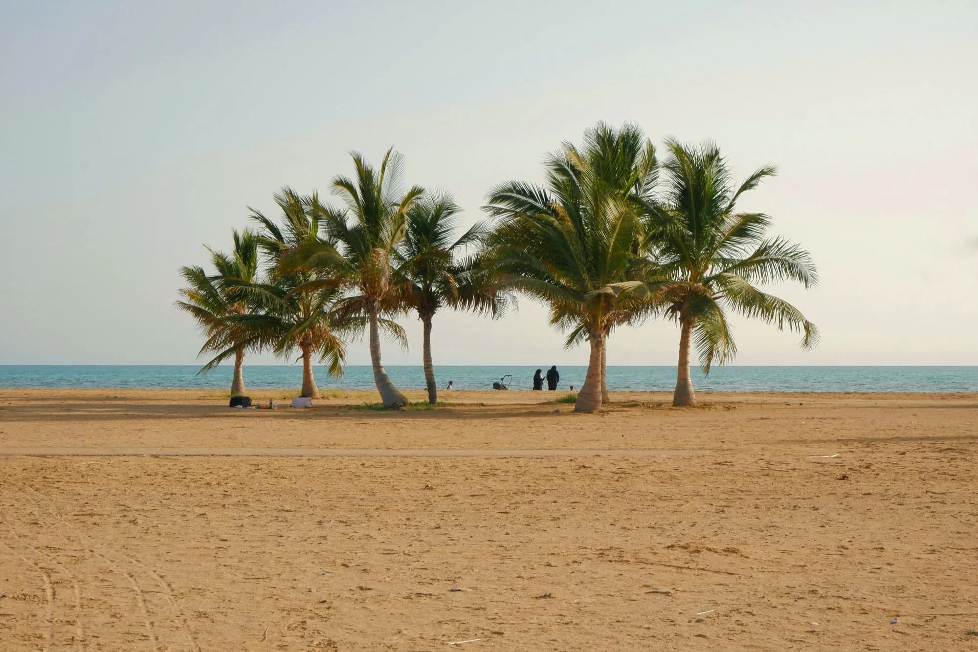 Al Ahsa in 3 Days: Palaces, Al Qaisariya Souq & Jabal Al Qarah