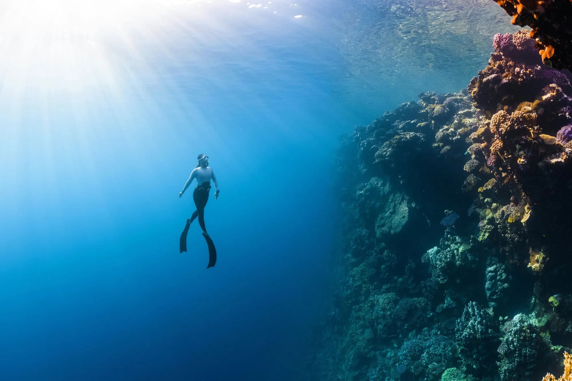 Yanbu: Red Sea Trip with Snorkelling & Fishing