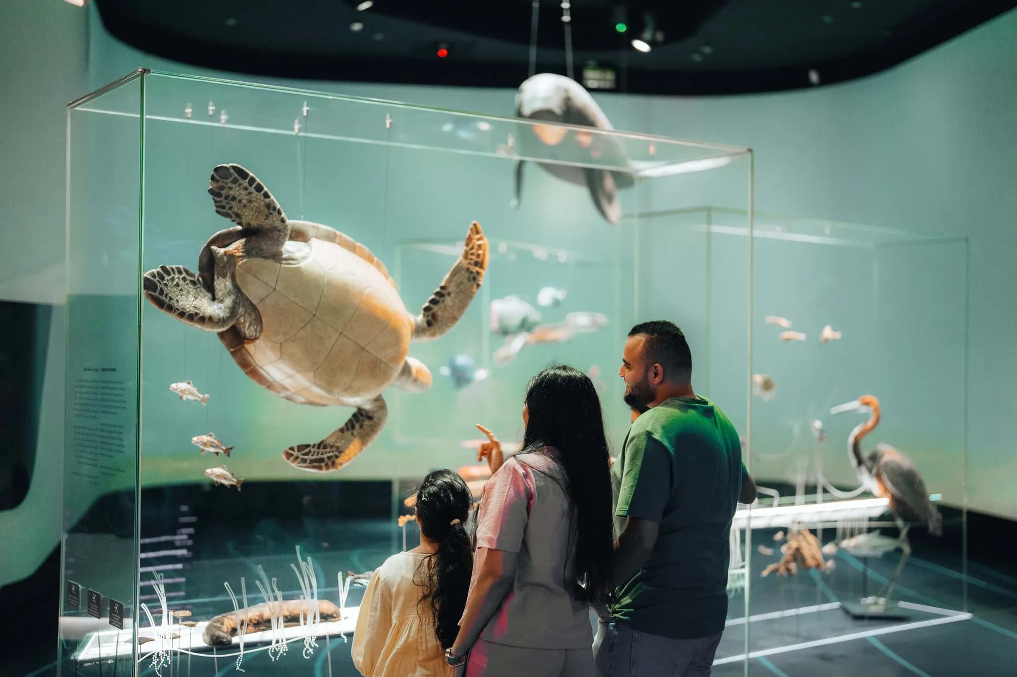 Al Khobar in 2 Days: Ithra, Corniche & Scitech