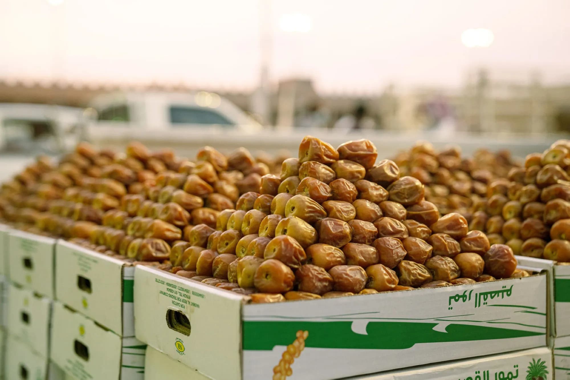 Al-Qassim in 2 Days: Dates, Souqs & Farms