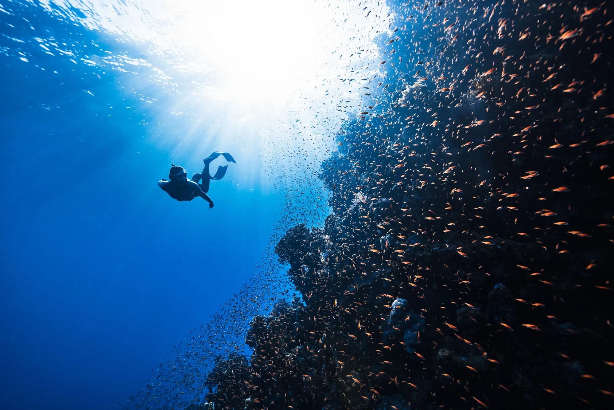 King Abdullah Economic City: 2 Days with a Sea Trip