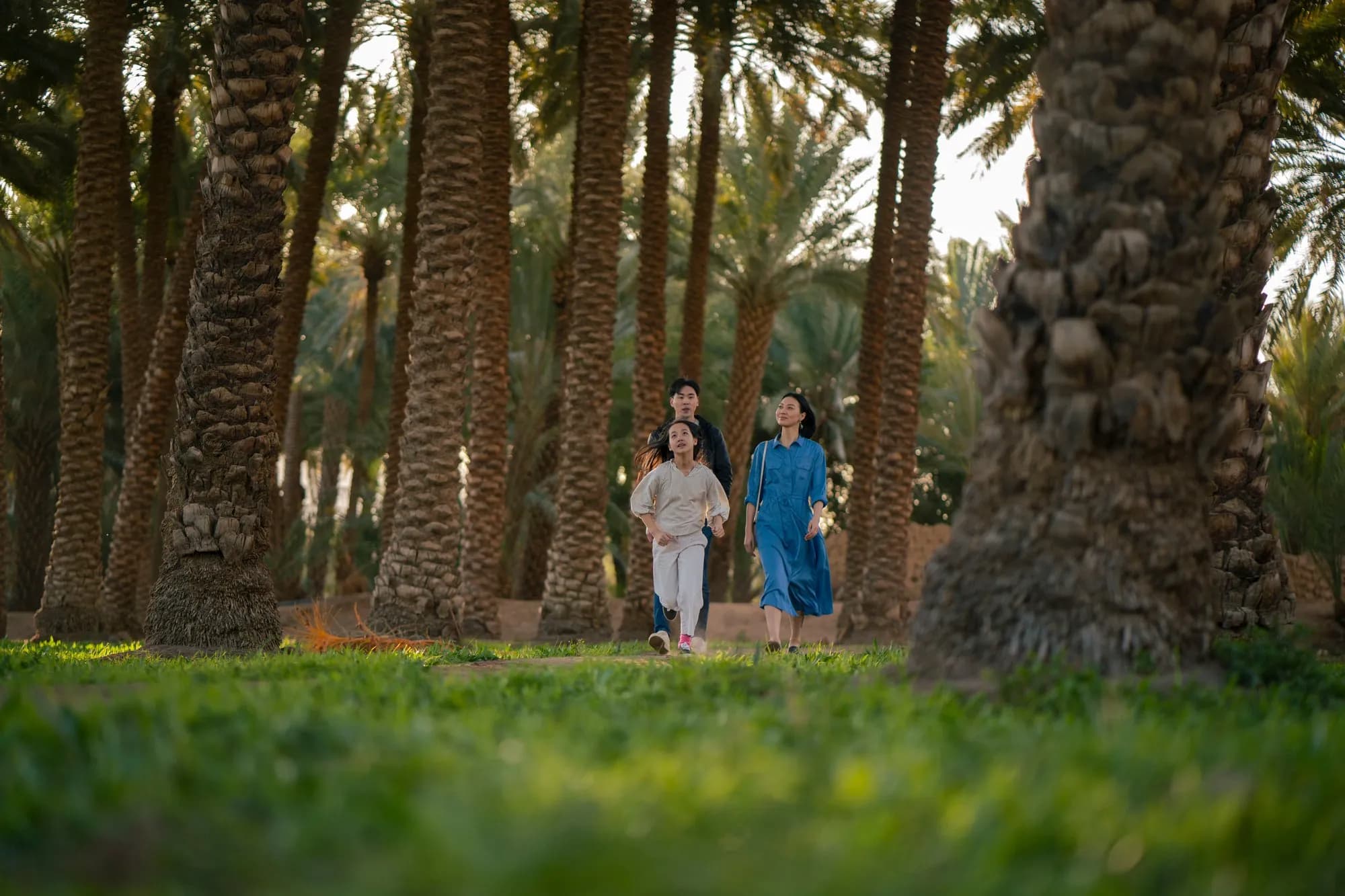 AlUla: 3 Days at Banyan Tree with Guided Tours
